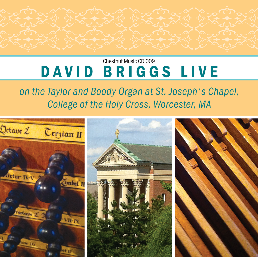 David Briggs Live at Holy Cross