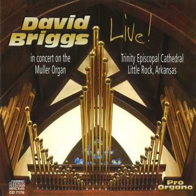 David Briggs Live at Little Rock